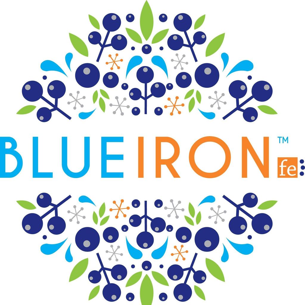 BlueIron Cover Image